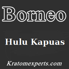 Borneo Hulu Kapuas